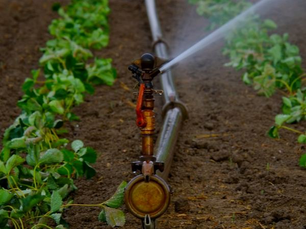 Irrigation & Sprinkler Support Systems Irrigation & Sprinkler Support Systems